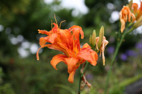 ���u�J���]�E